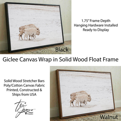 White Buffalo Wall Art - Buffalo Canvas Print With Cow and Calf Wildlife Decor Canvas-Black Frame / 12 x 18 Inches Wall Art Teri James Photography