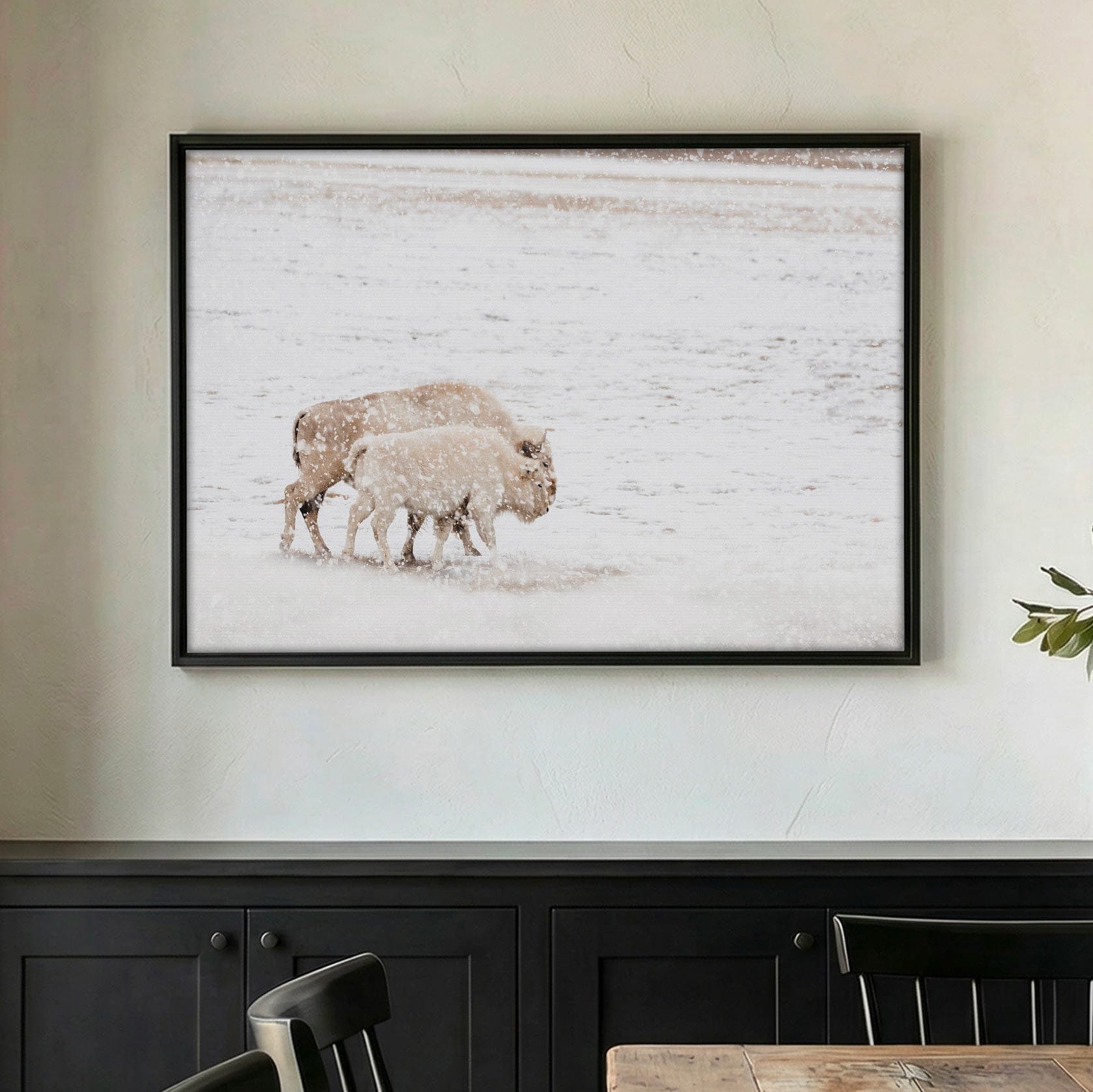 White Buffalo Wall Art - Buffalo Canvas Print With Cow and Calf Wildlife Decor Wall Art Teri James Photography
