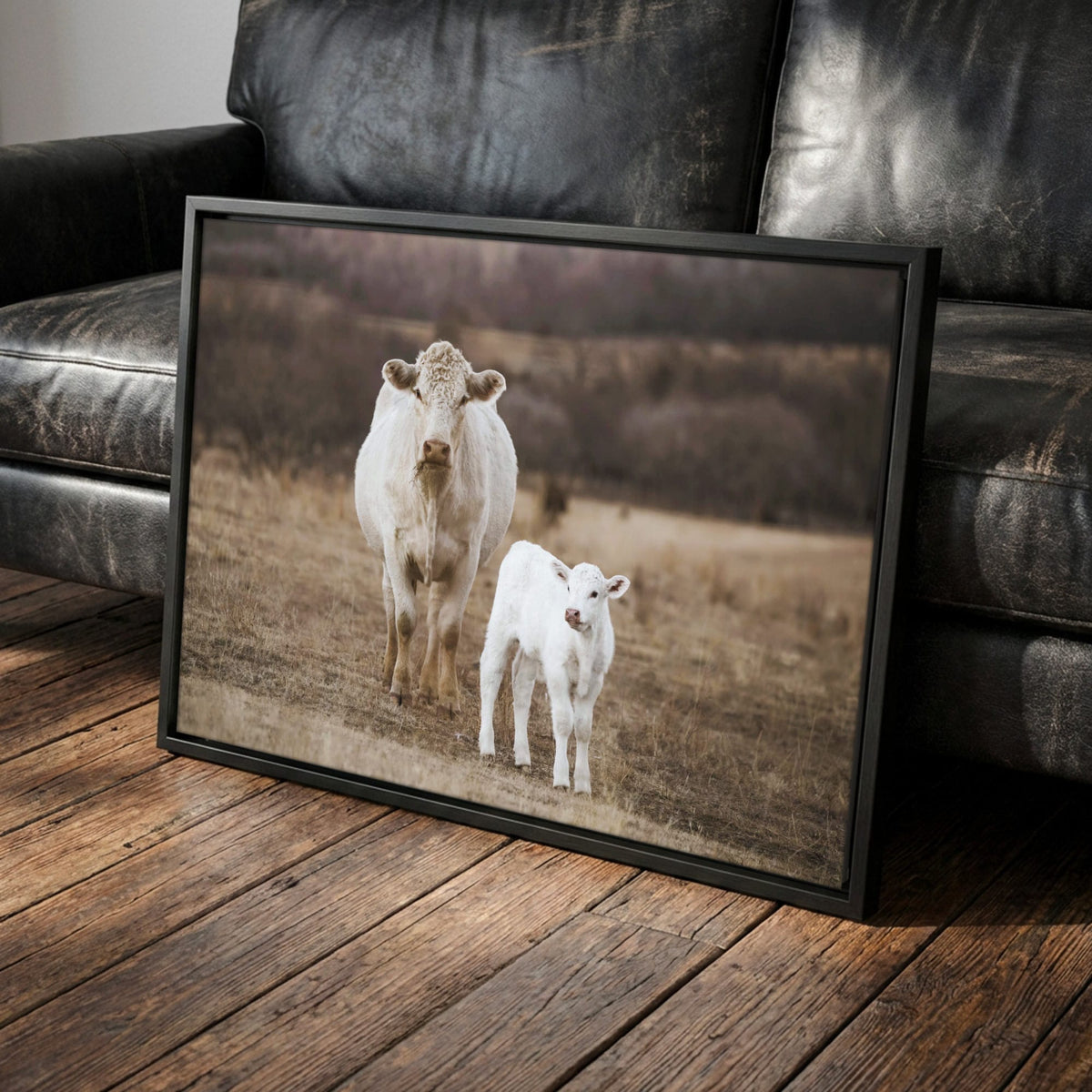 White Charolais Cow and Calf Western Nursery Canvas-Black Frame / 12 x 18 Inches