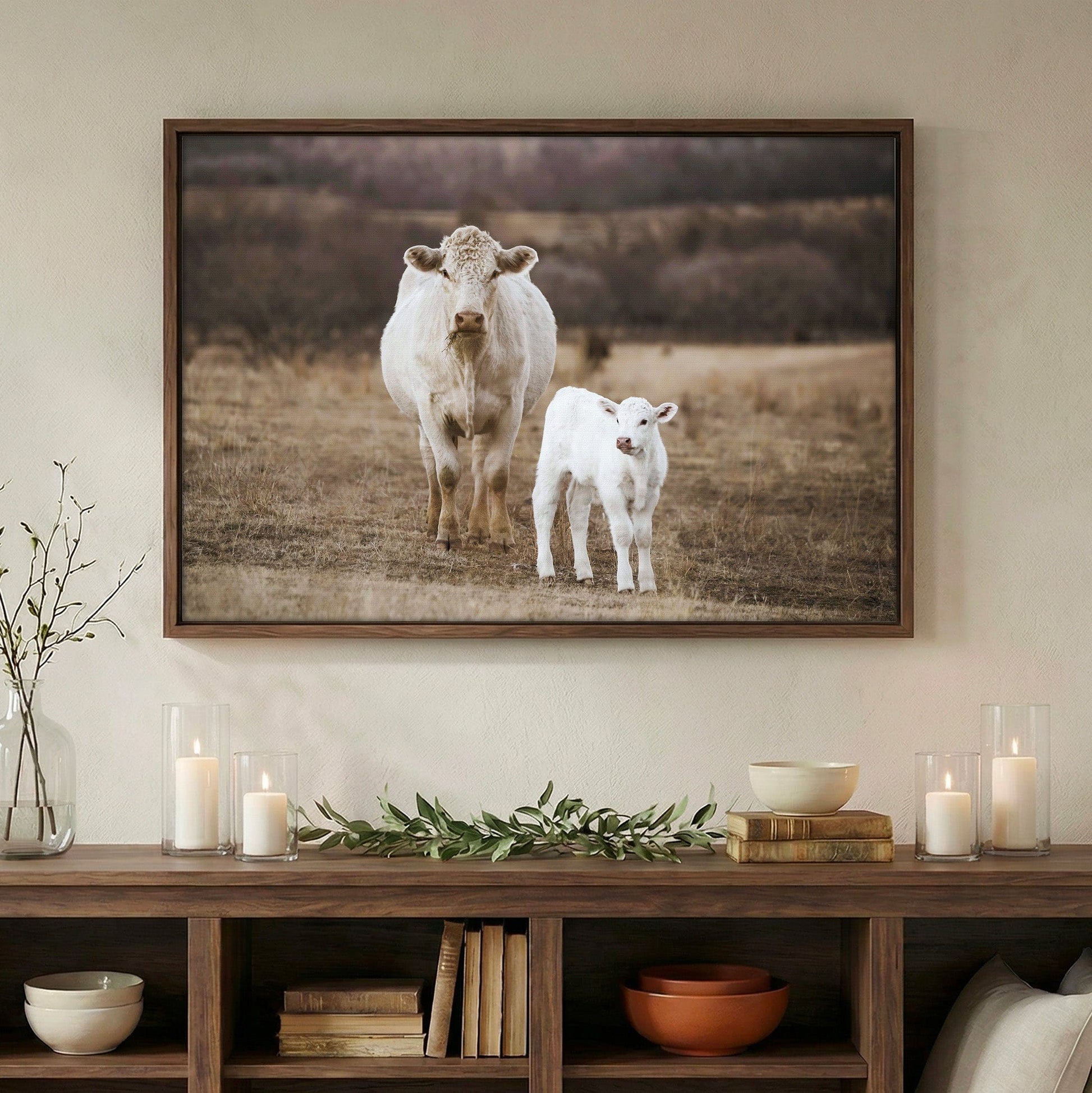 White Charolais Cow and Calf Western Nursery Wall Art Wall Art Teri James Photography