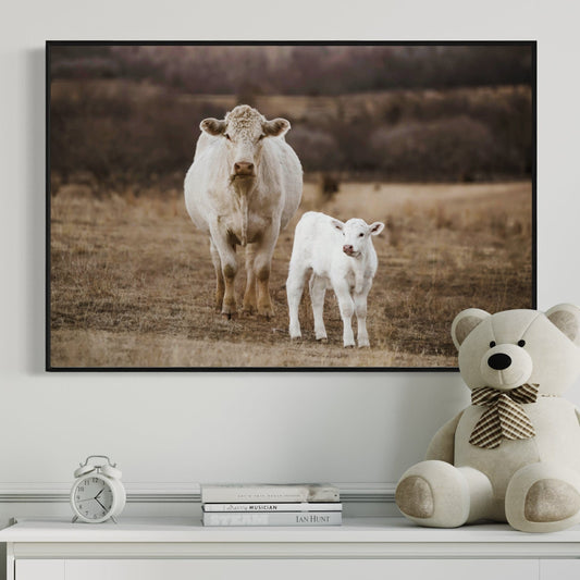 White Charolais Cow and Calf Western Nursery Wall Art Wall Art Teri James Photography