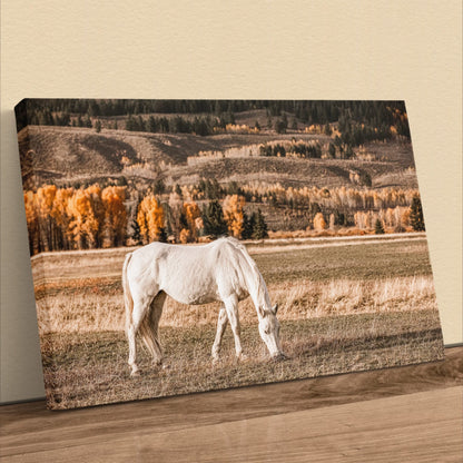 White Horse Wall Art – Autumn in the Teton Foothills Canvas-Unframed / 12 x 18 Inches