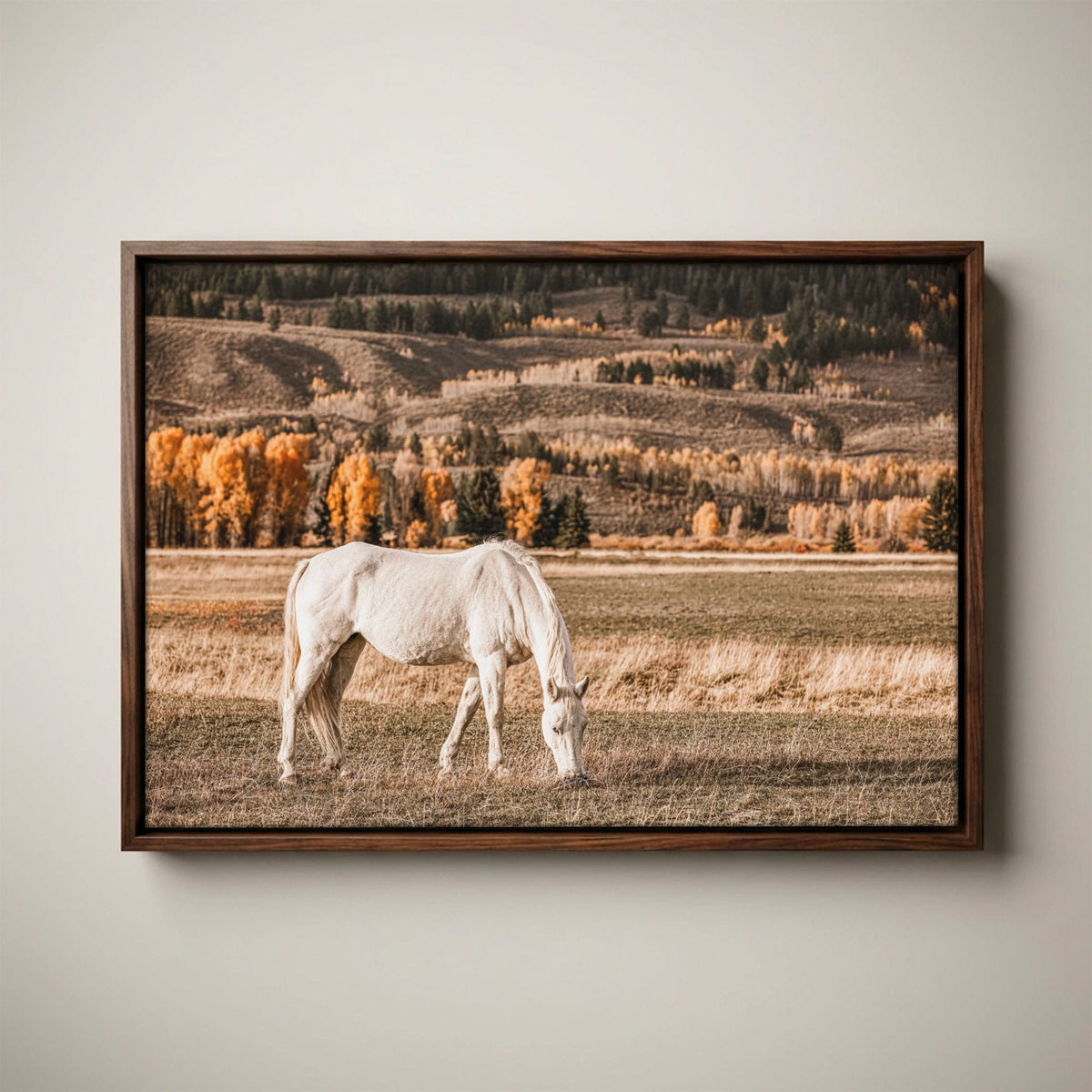 White Horse Wall Art – Autumn in the Teton Foothills Canvas-Walnut Float Frame / 12 x 18 Inches