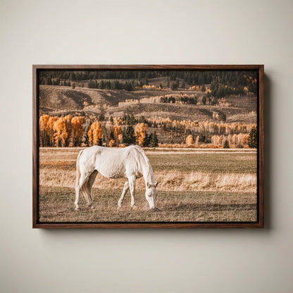 White Horse Wall Art – Autumn in the Teton Foothills Canvas-Walnut Float Frame / 12 x 18 Inches