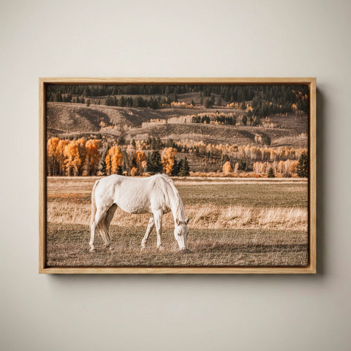 White Horse Wall Art – Autumn in the Teton Foothills Canvas-Natural Oak Float Frame / 12 x 18 Inches