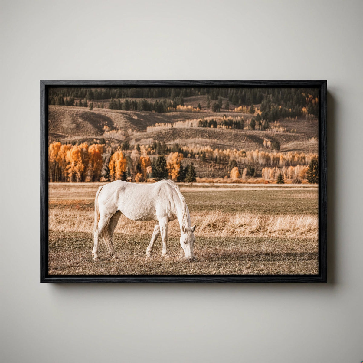 White Horse Wall Art – Autumn in the Teton Foothills Canvas-Black Float Frame / 12 x 18 Inches