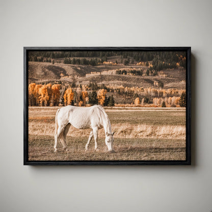 White Horse Wall Art – Autumn in the Teton Foothills Canvas-Black Float Frame / 12 x 18 Inches