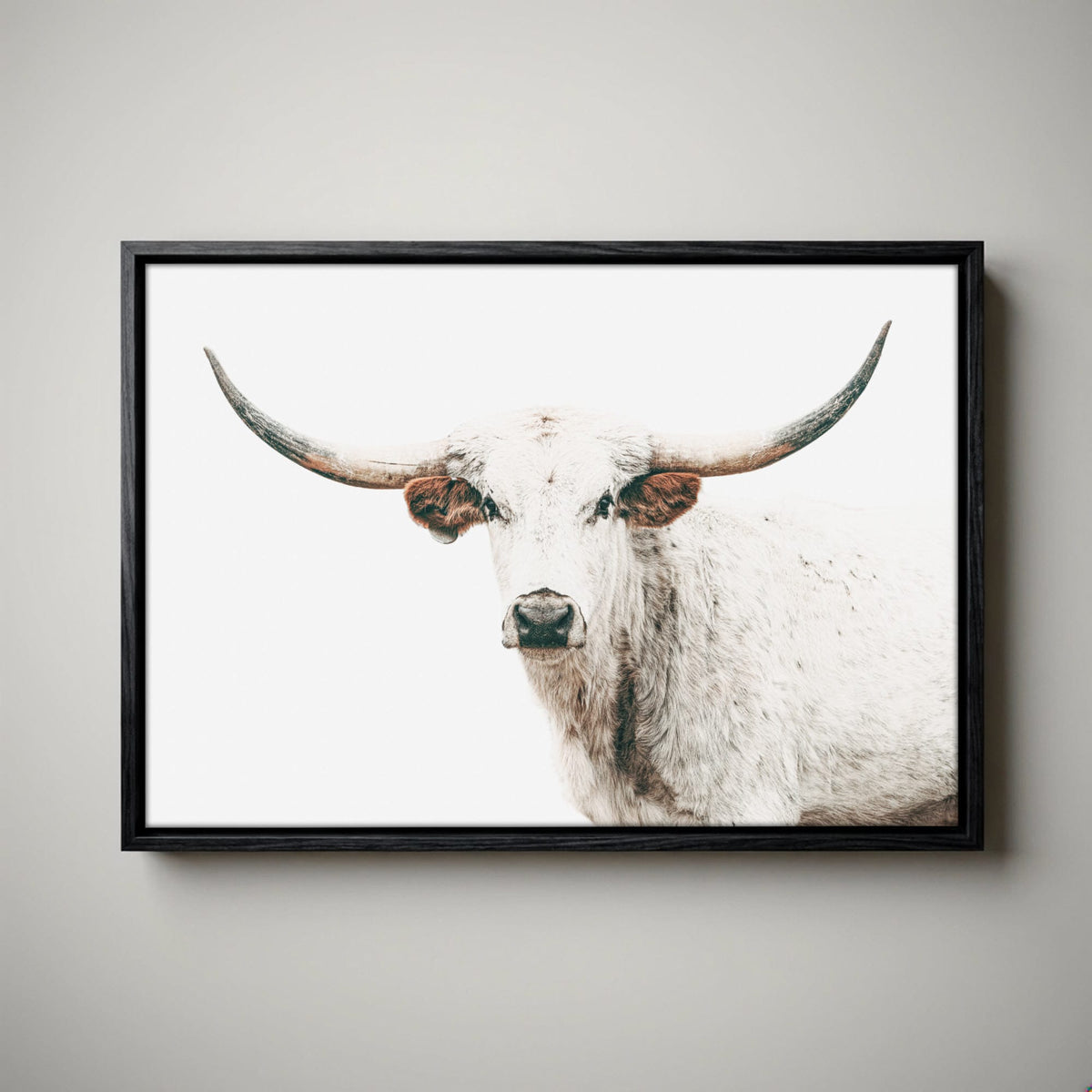 White Texas Longhorn Cow Wall Art for Cowboy Chic Decor