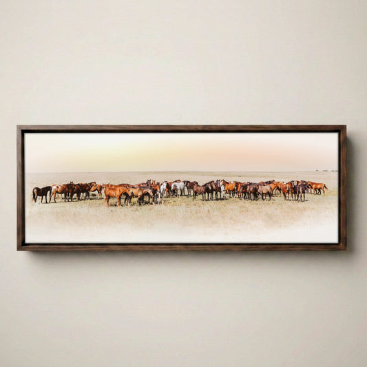 Wild Horse Canvas – Large Panoramic Horse Art
