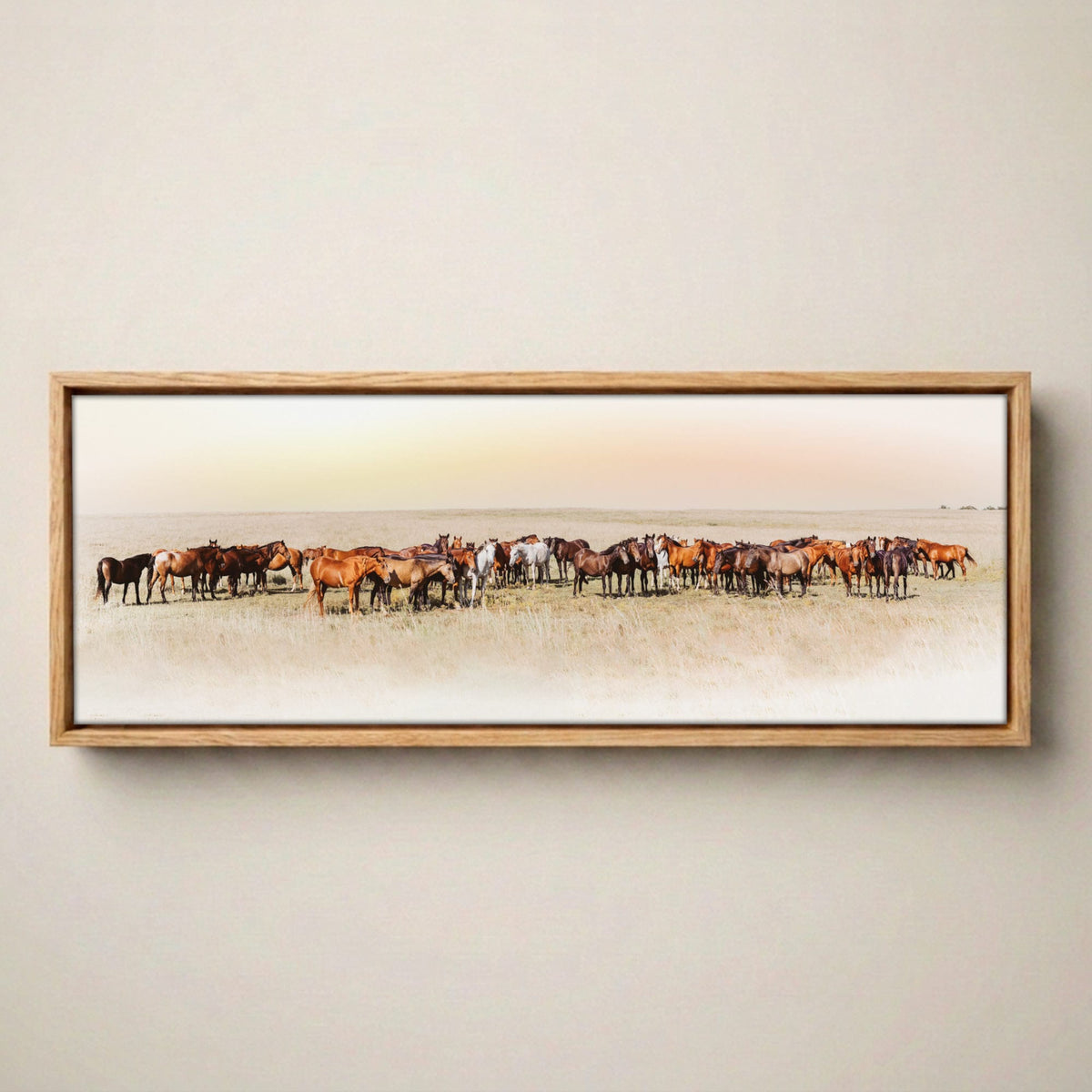 Wild Horse Canvas – Large Panoramic Horse Art Canvas-Natural Oak Float Frame / 12 x 36 Inches