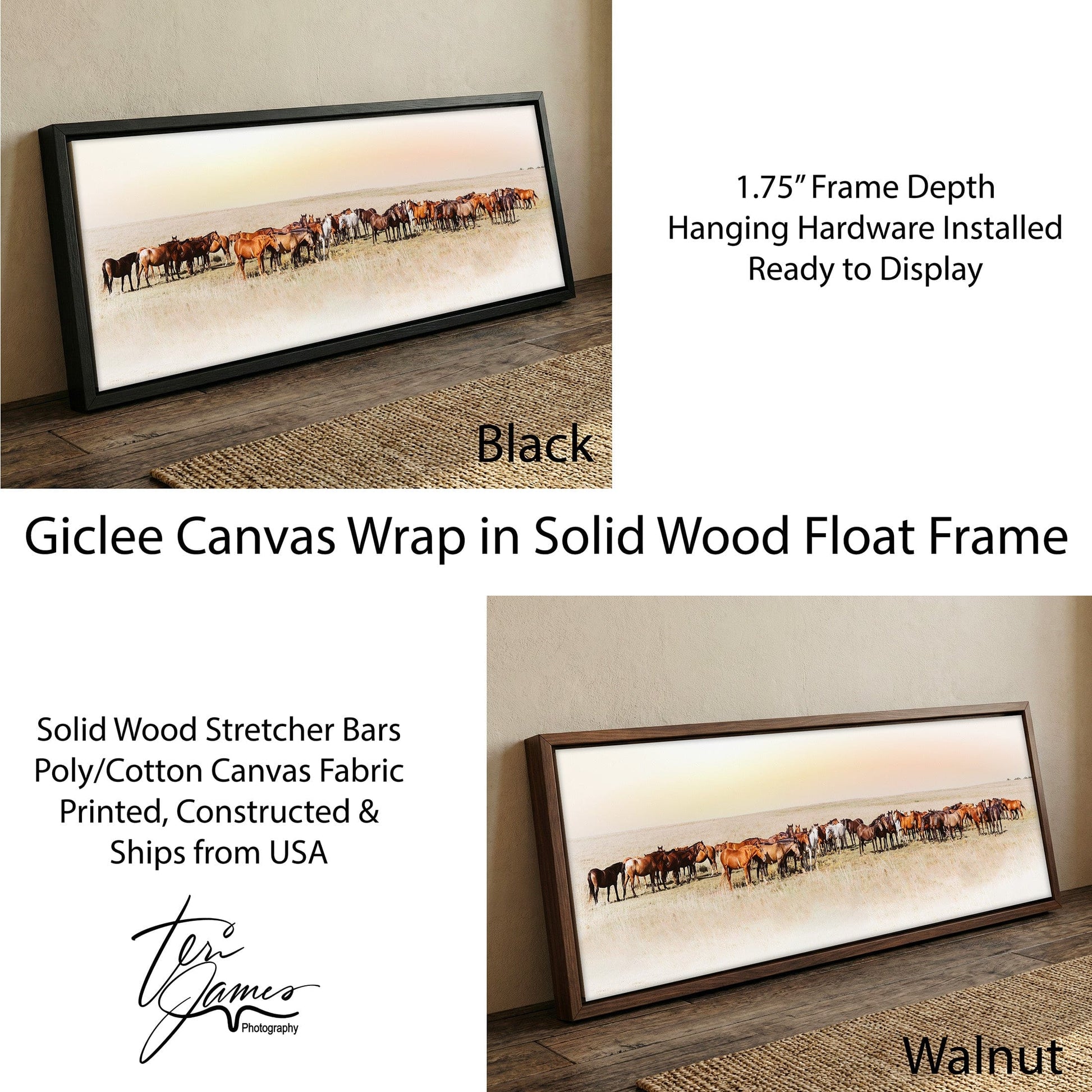Wild Horse Canvas – Large Panoramic Horse Art | Western Wall Decor 60" Canvas-Black Frame / 12 x 36 Inches Wall Art Teri James Photography