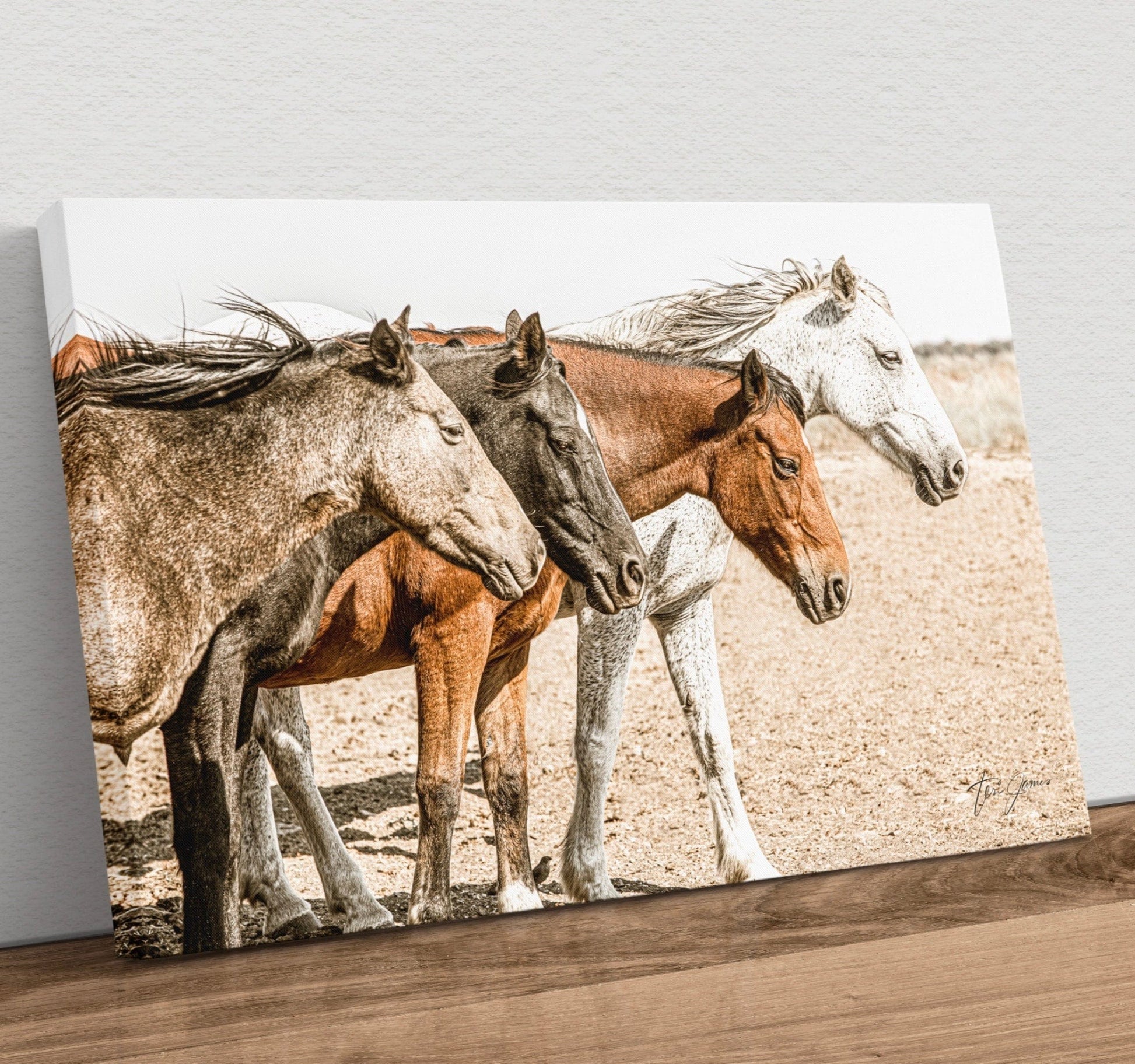 Wild Horse Canvas Print Living Room Wall Art Canvas-Unframed / 12 x 18 Inches Wall Art Teri James Photography