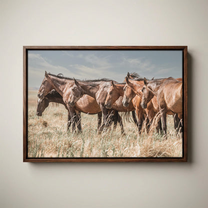 Wild Horse Canvas Print – Mustang Wall Art