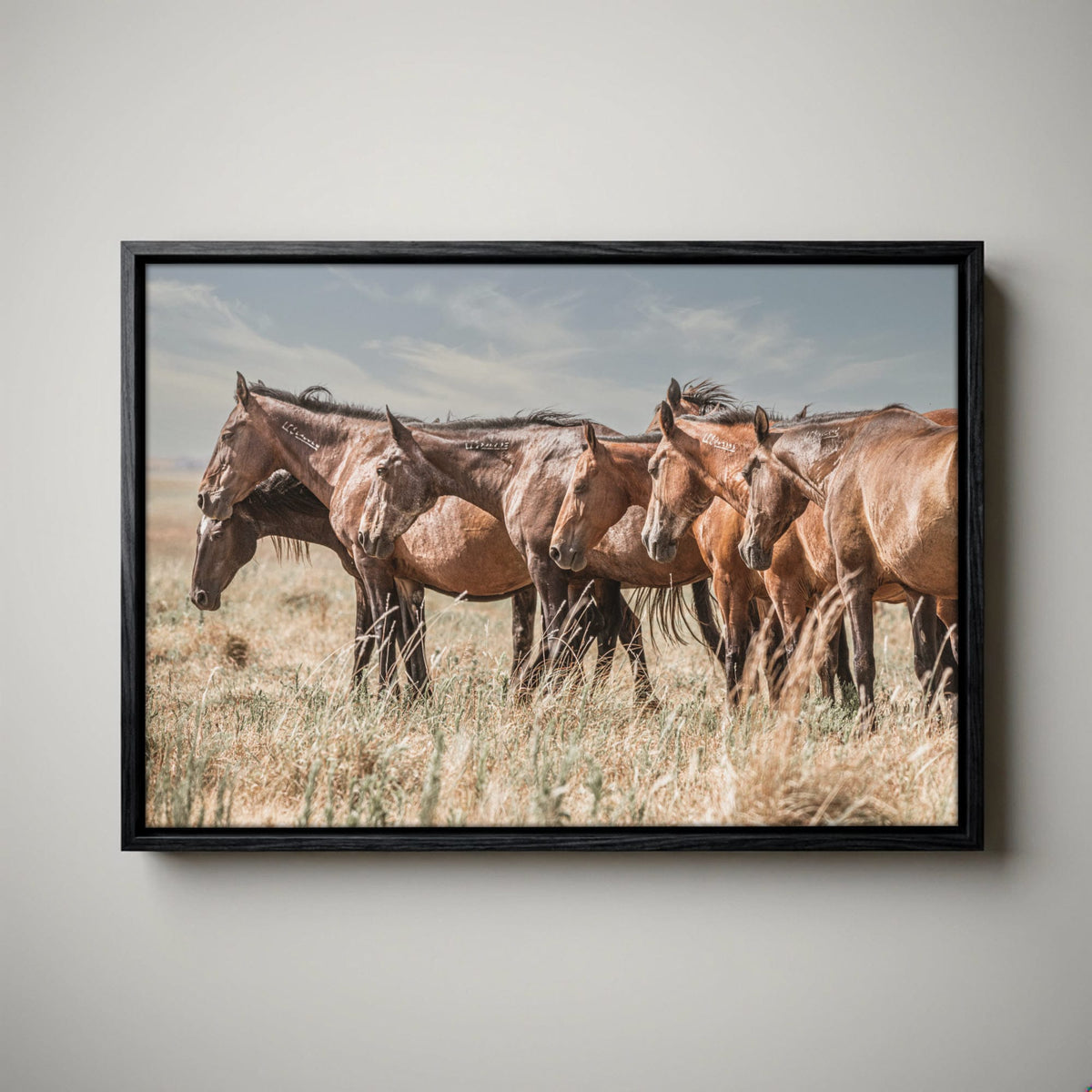 Wild Horse Canvas Print – Mustang Wall Art