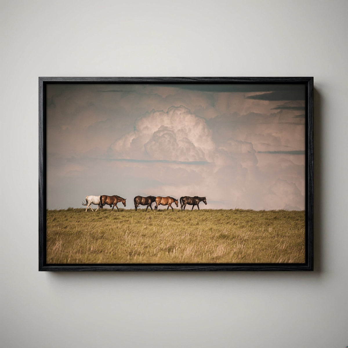Wild Horse Canvas Print – Rustic Animal Decor