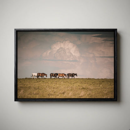 Wild Horse Canvas Print – Rustic Animal Decor