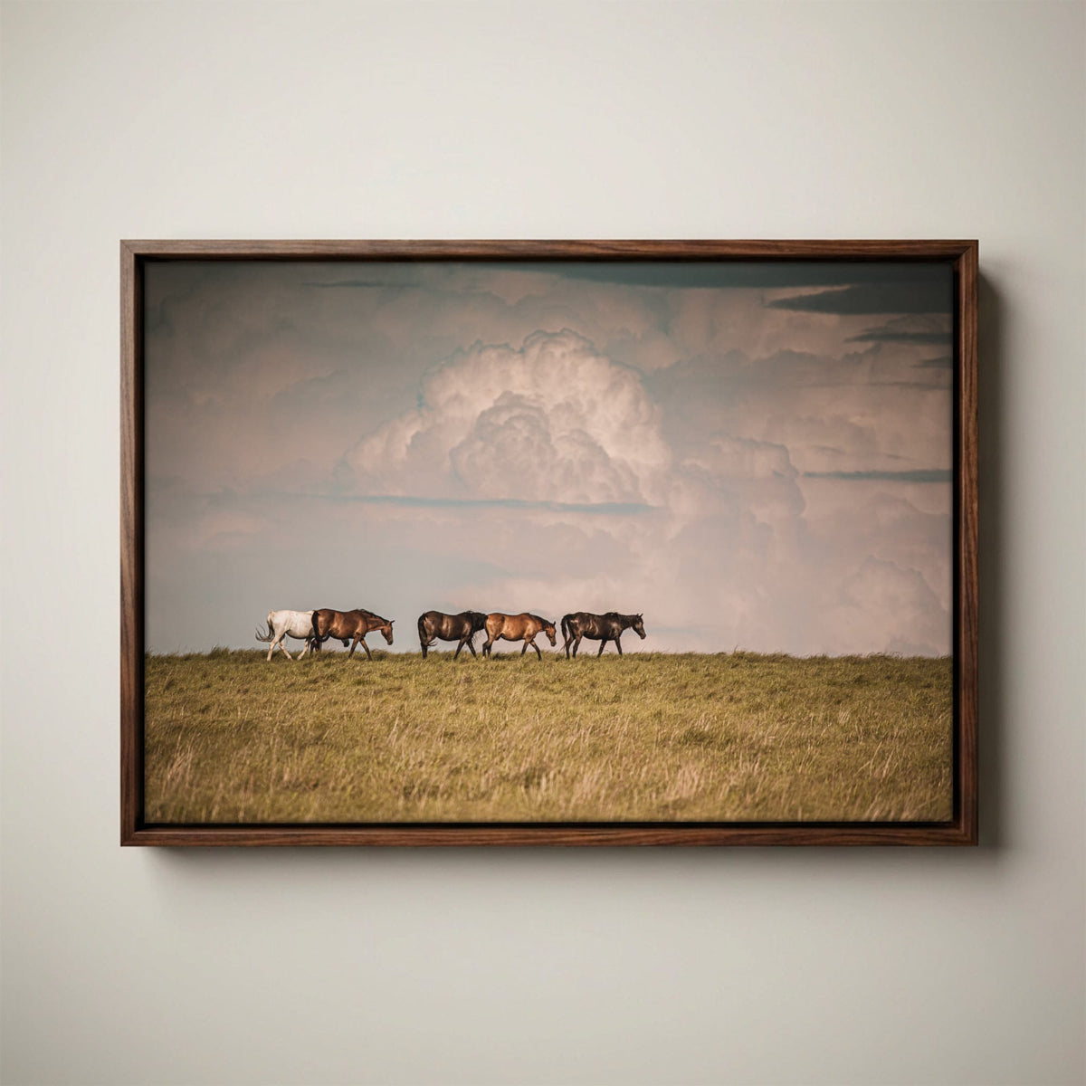 Wild Horse Canvas Print – Rustic Animal Decor