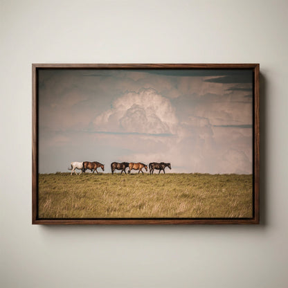 Wild Horse Canvas Print – Rustic Animal Decor
