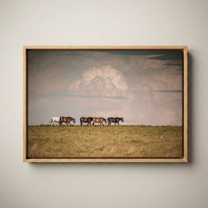 Wild Horse Canvas Print – Rustic Animal Decor Canvas-Natural Oak Float Frame / 12 x 18 Inches