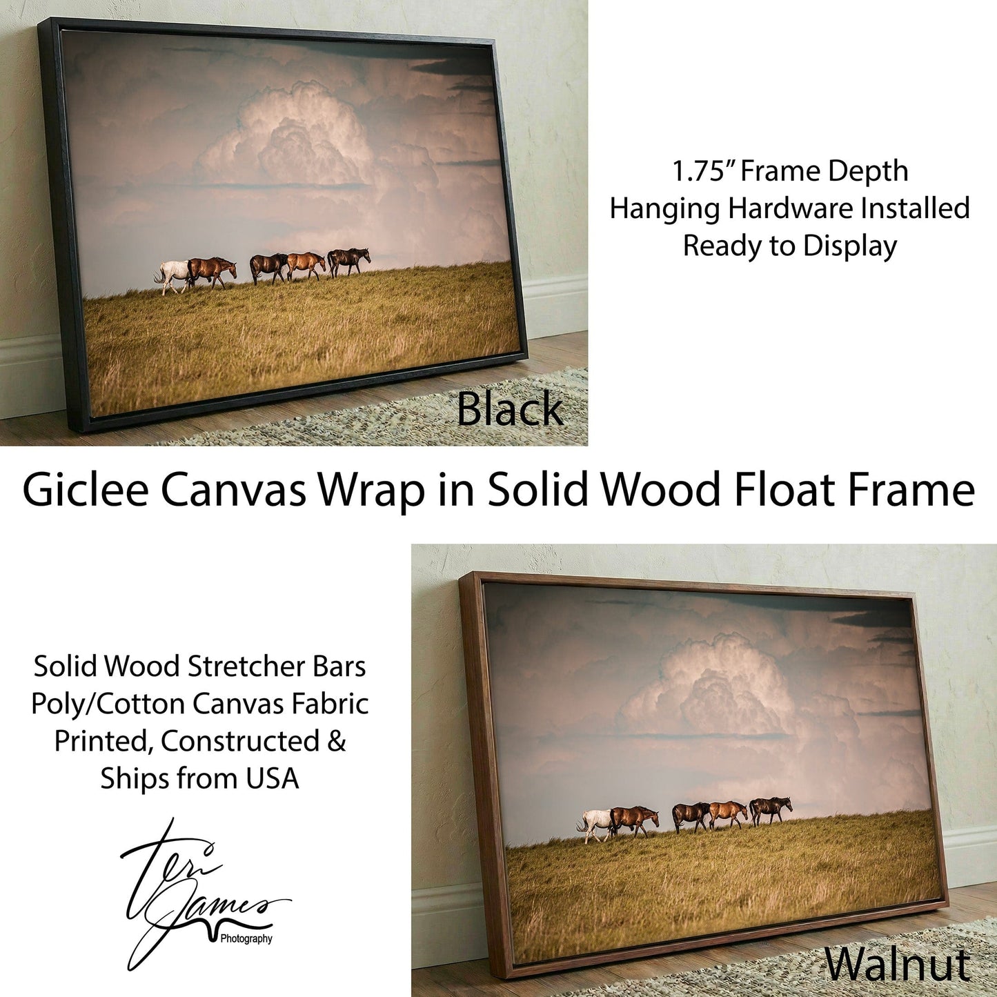 Wild Horse Canvas Print – Rustic Animal Decor With Archival Gallery Wrapped Canvas Canvas-Black Frame / 12 x 18 Inches Wall Art Teri James Photography