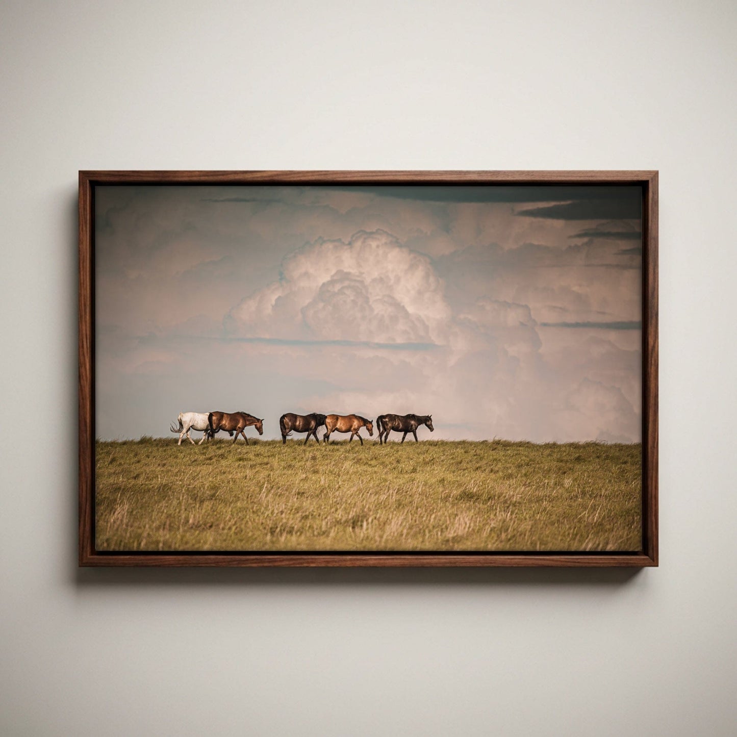 Wild Horse Canvas Print – Rustic Animal Decor With Archival Gallery Wrapped Canvas Wall Art Teri James Photography