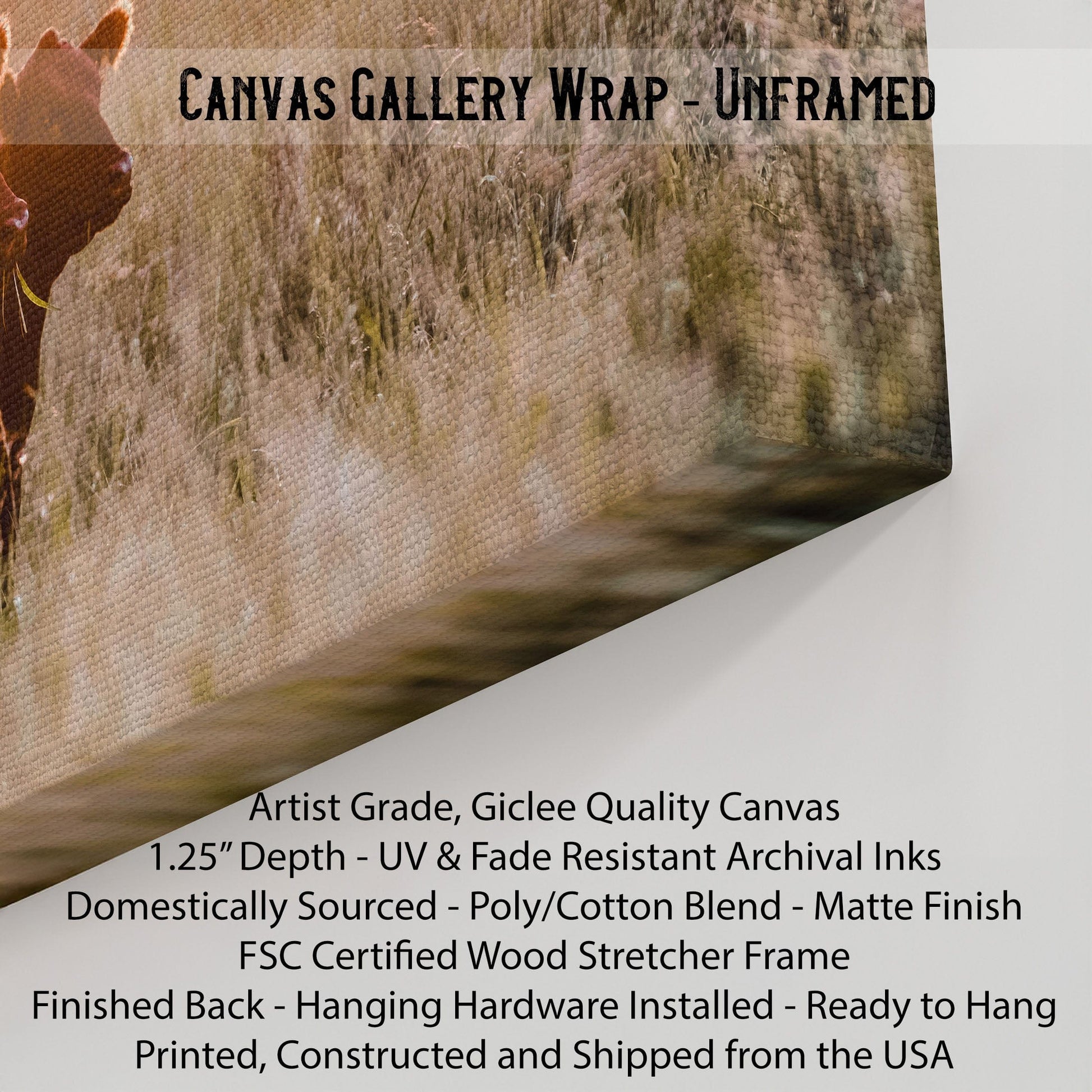 Wild Horse Canvas Print Wall Art Teri James Photography