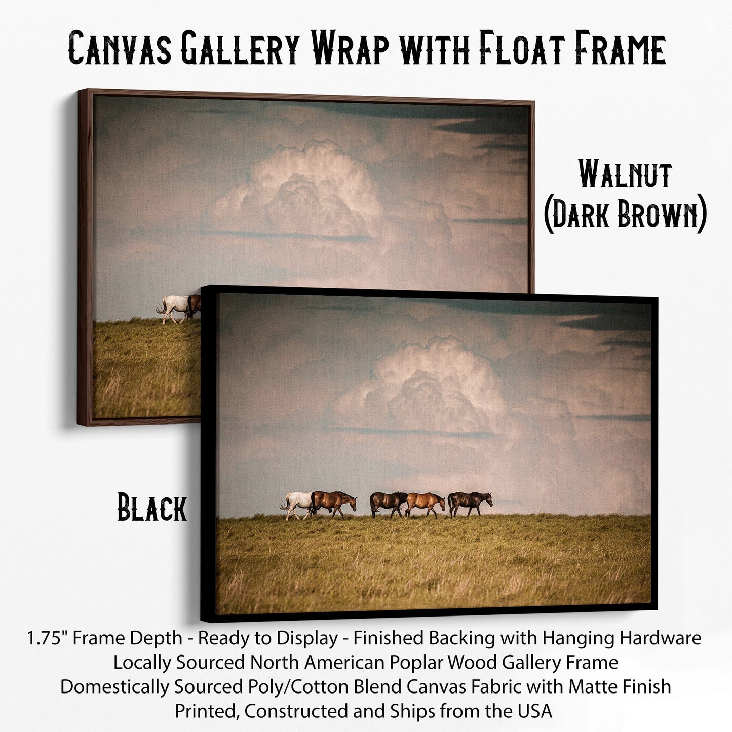 Wild Horse Canvas Print Wall Art Teri James Photography
