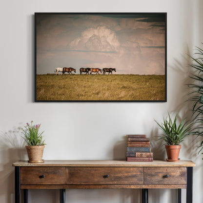 Wild Horse Canvas Print Wall Art Teri James Photography