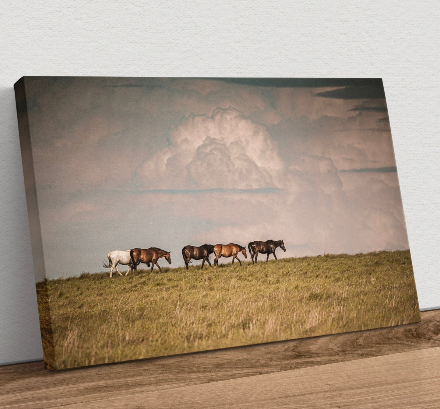 Wild Horse Canvas Print Canvas-Unframed / 12 x 18 Inches Wall Art Teri James Photography