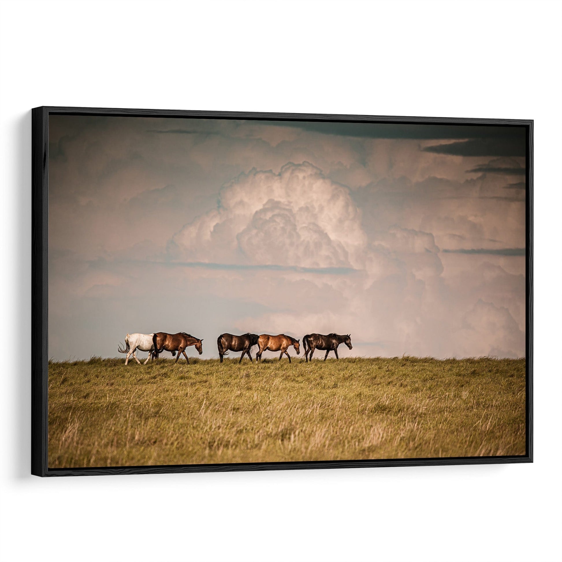 Wild Horse Canvas Print Canvas-Black Frame / 12 x 18 Inches Wall Art Teri James Photography