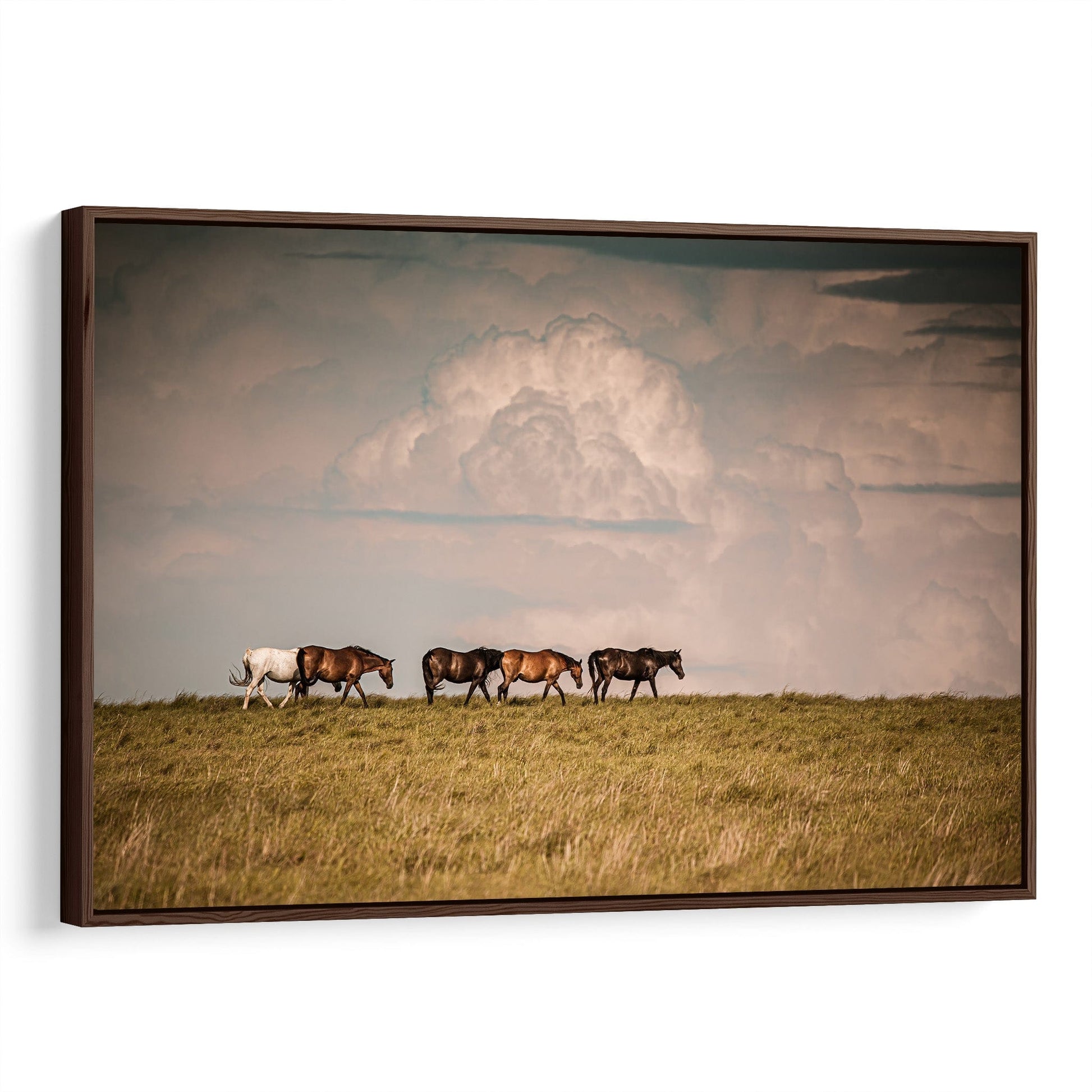 Wild Horse Canvas Print Canvas-Walnut Frame / 12 x 18 Inches Wall Art Teri James Photography