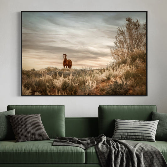 Wild Horse in Monument Valley, Utah Wall Art Teri James Photography