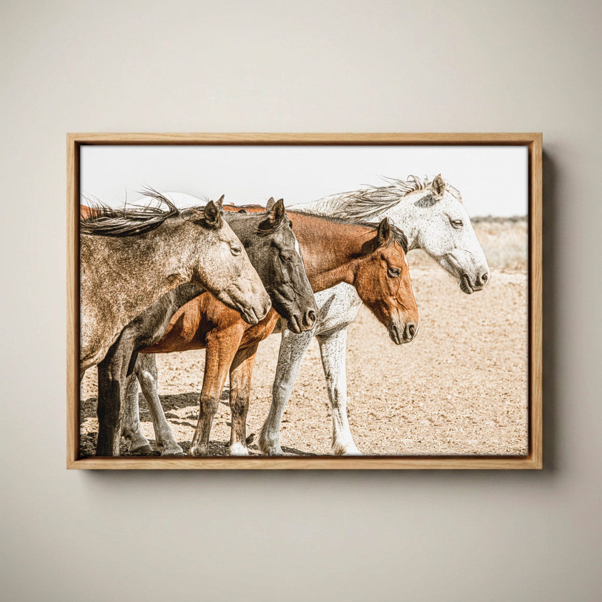 Wild Horse Print – Osage County Art - Cowboy Chic Decor Canvas-Natural Oak Float Frame / 12 x 18 Inches