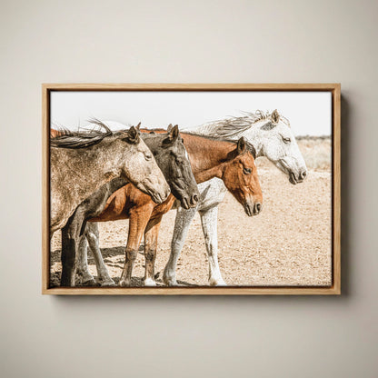 Wild Horse Print – Osage County Art - Cowboy Chic Decor Canvas-Natural Oak Float Frame / 12 x 18 Inches
