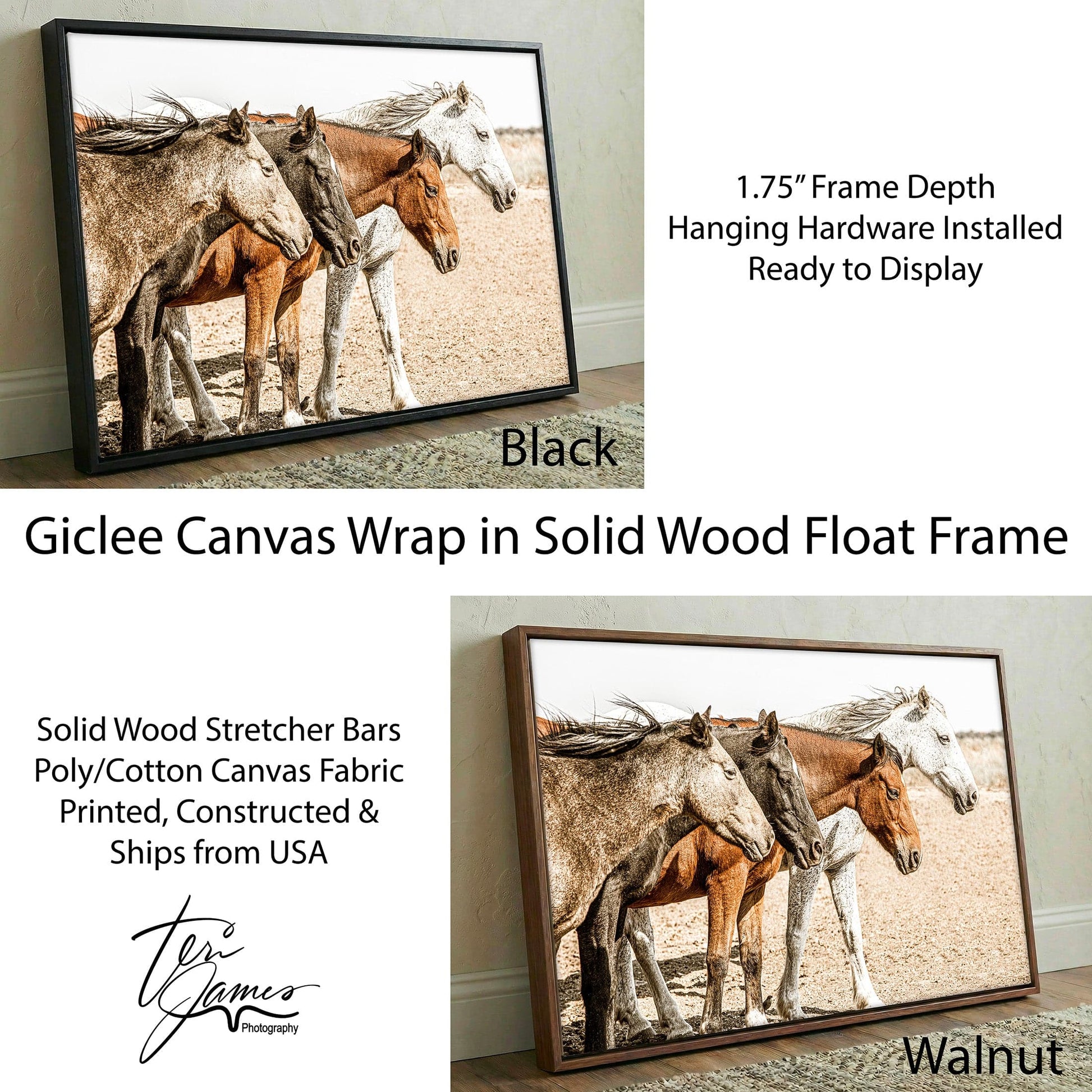 Wild Horse Print – Osage County Art - Wild Horses in Rustic Decor Canvas-Black Frame / 12 x 18 Inches Wall Art Teri James Photography
