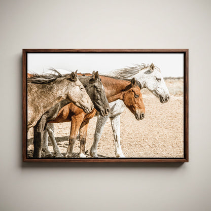 Wild Horse Print – Osage County Art - Wild Horses in Rustic Decor Wall Art Teri James Photography