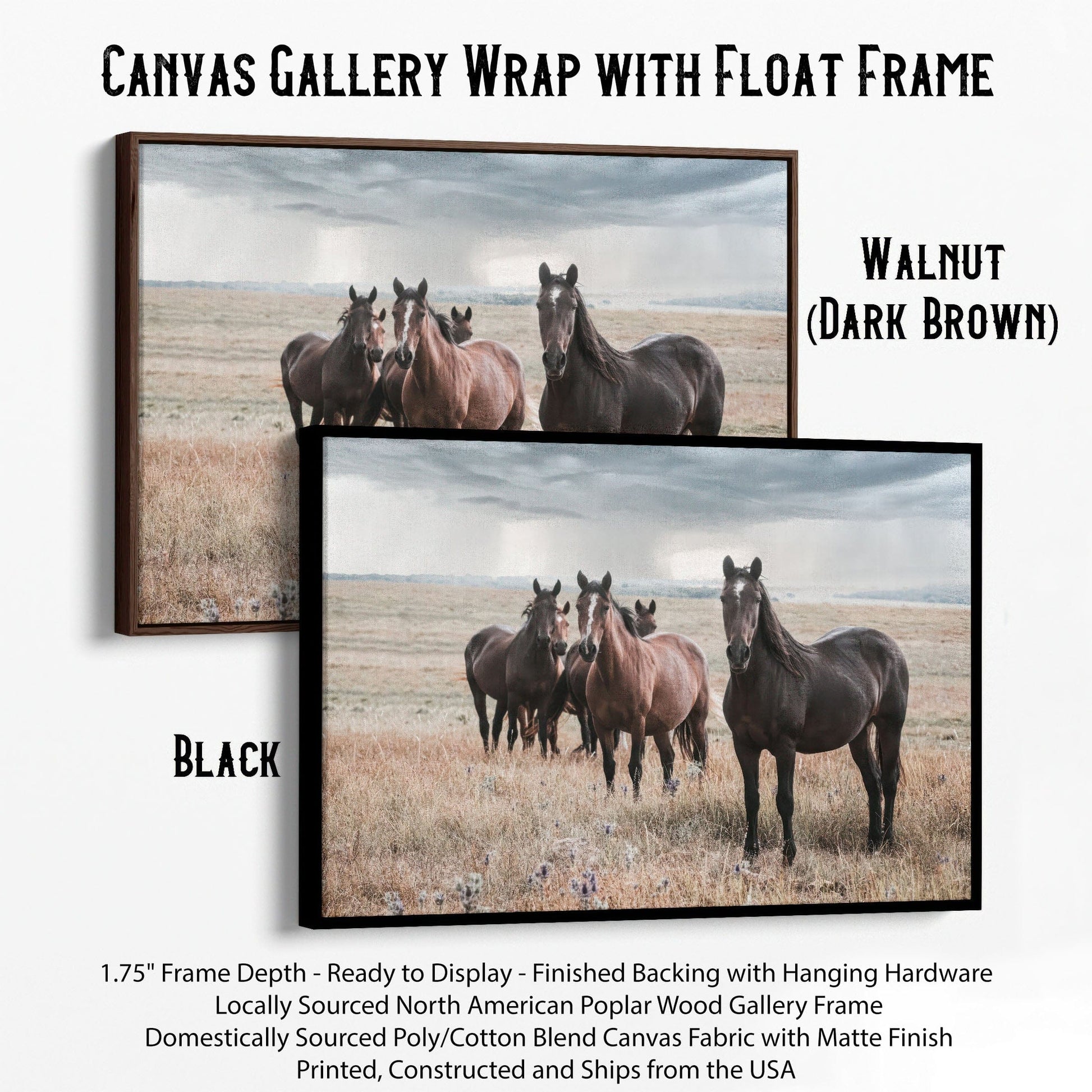 Wild Horses and Stormy Sky Wall Decor Canvas-Black Frame / 12 x 18 Inches Wall Art Teri James Photography