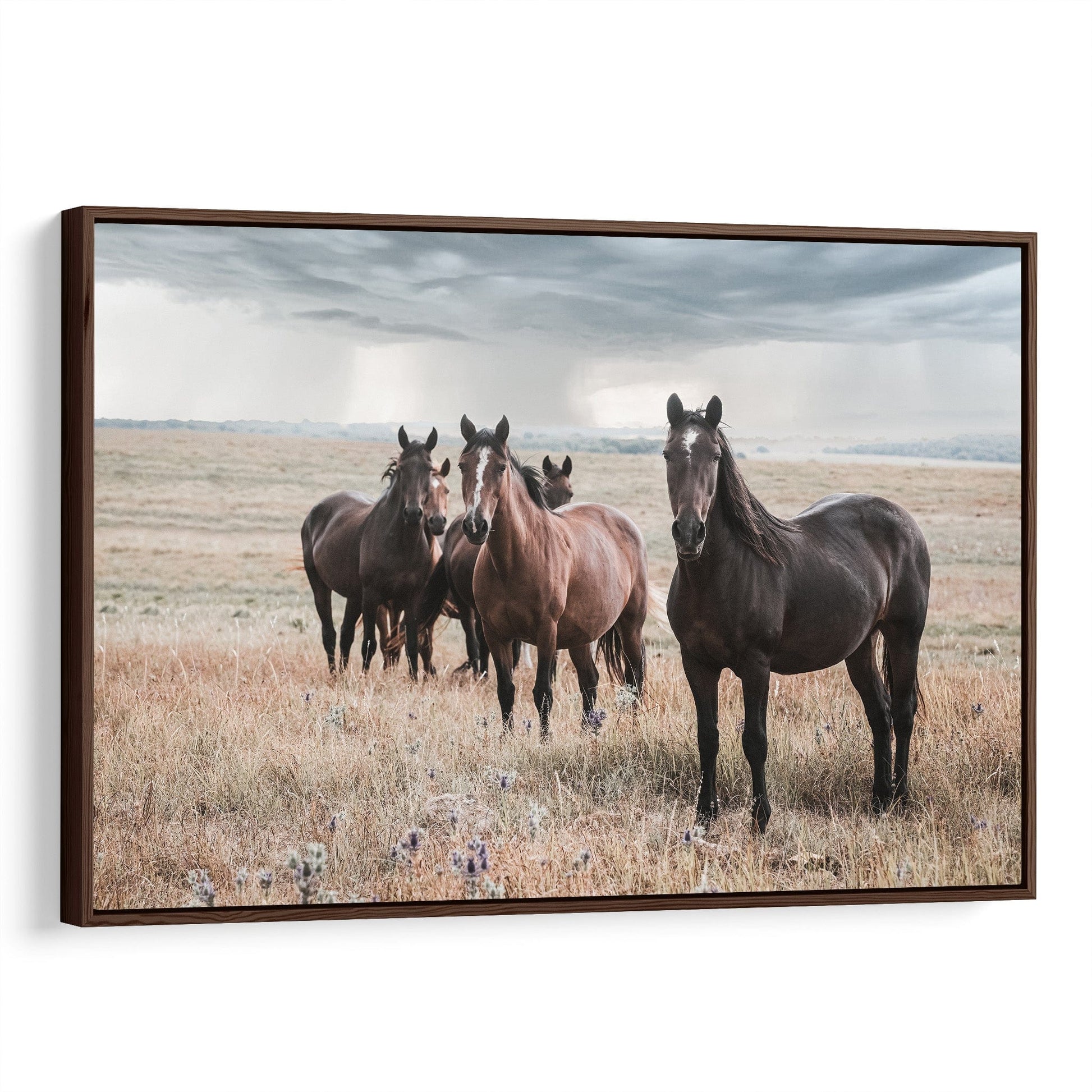 Wild Horses and Stormy Sky Wall Decor Canvas-Walnut Frame / 12 x 18 Inches Wall Art Teri James Photography