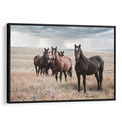 Wild Horses and Stormy Sky Wall Decor Canvas-Black Frame / 12 x 18 Inches Wall Art Teri James Photography