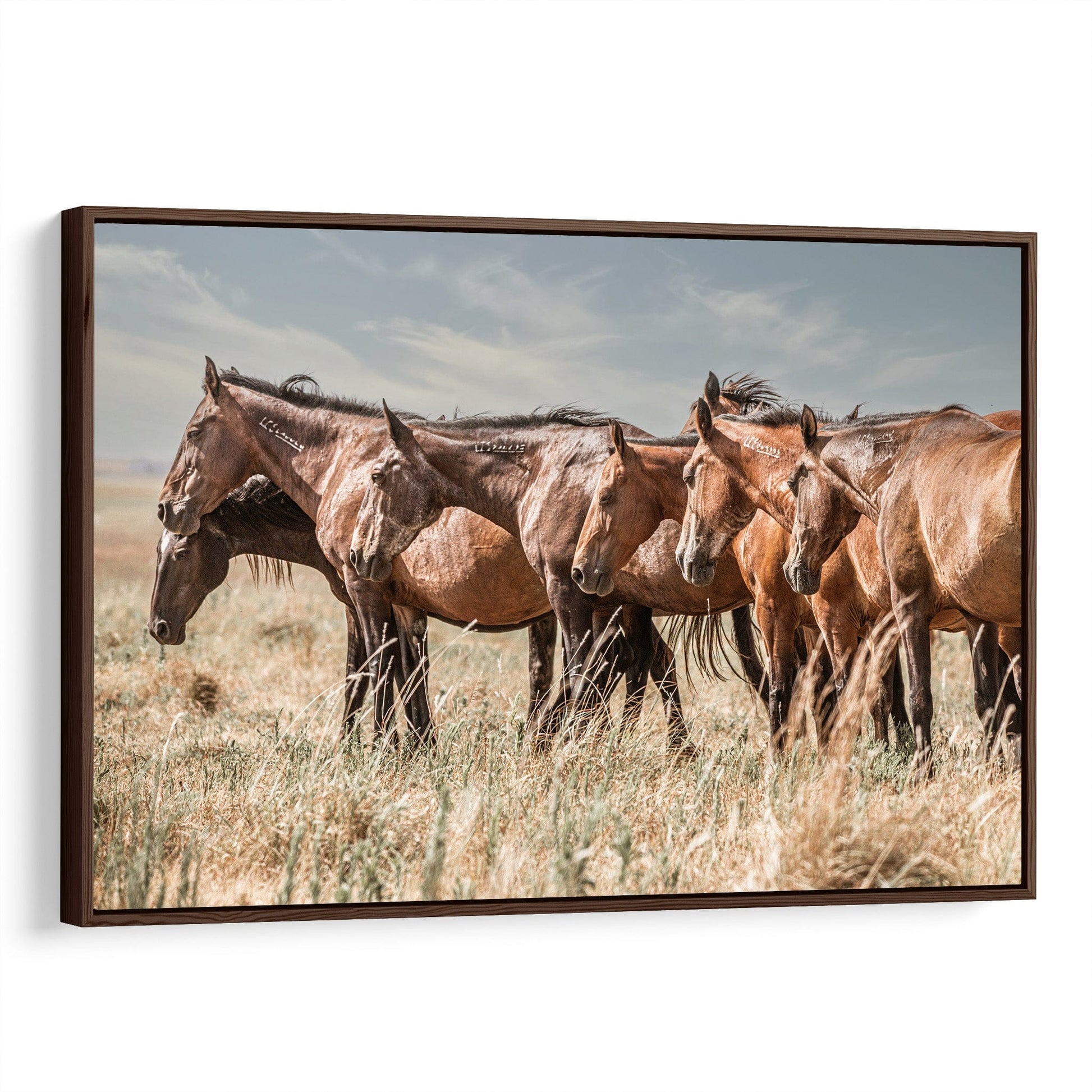 Wild Horses Canvas Print - Western Wall Decor Canvas-Walnut Frame / 12 x 18 Inches Wall Art Teri James Photography