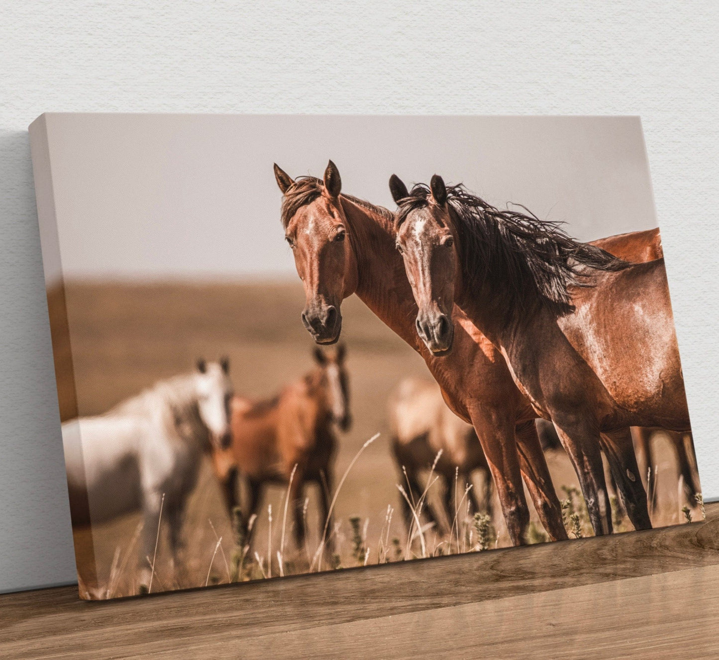 Wild Horses of Osage County Oklahoma Canvas-Unframed / 12 x 18 Inches Wall Art Teri James Photography