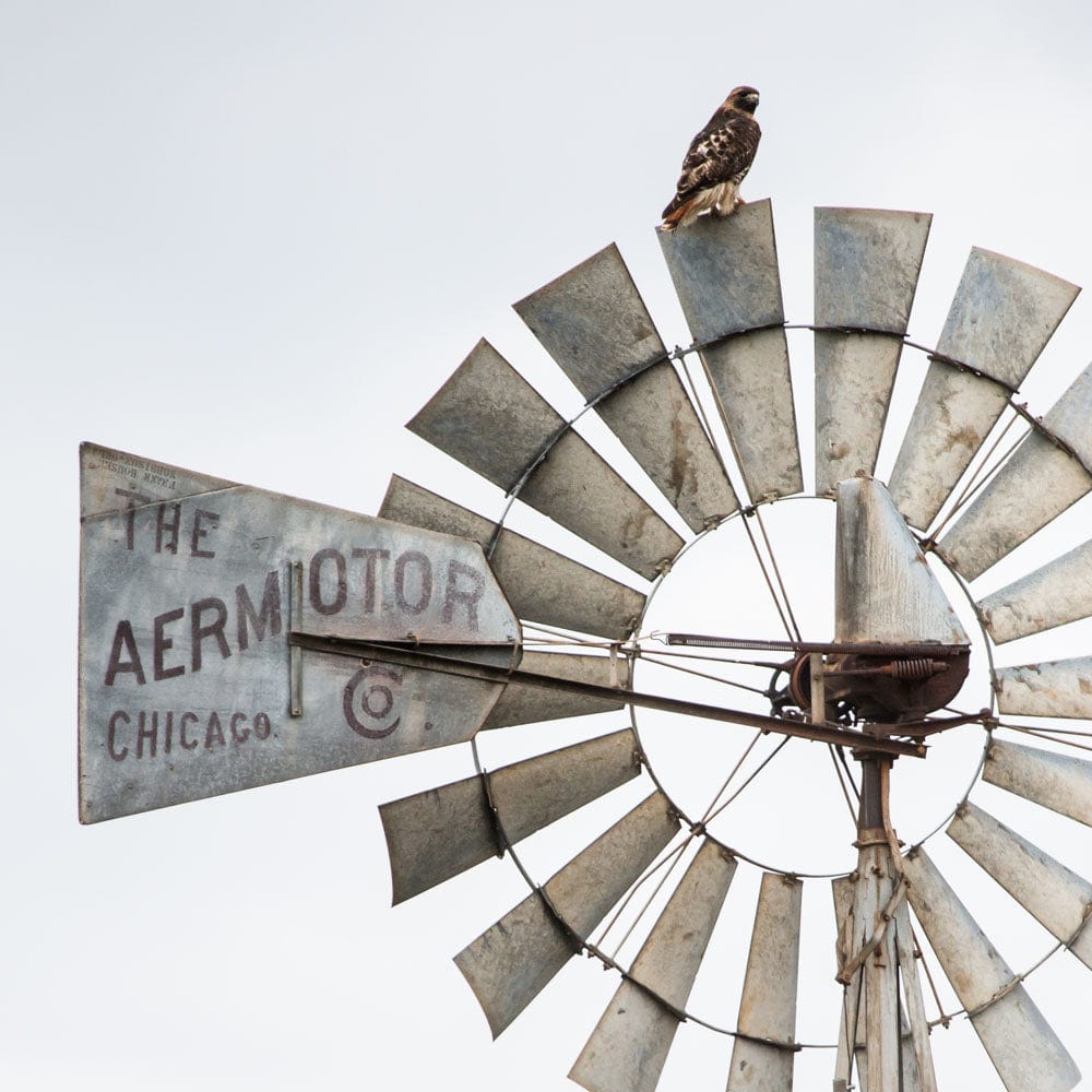 Windmill Wall Decor Modern Farmhouse Art Paper Photo Print / 16 x 16 Inches Wall Art Teri James Photography