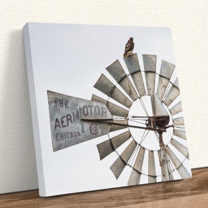 Windmill Wall Decor Modern Farmhouse Art Canvas-Unframed / 16 x 16 Inches Wall Art Teri James Photography