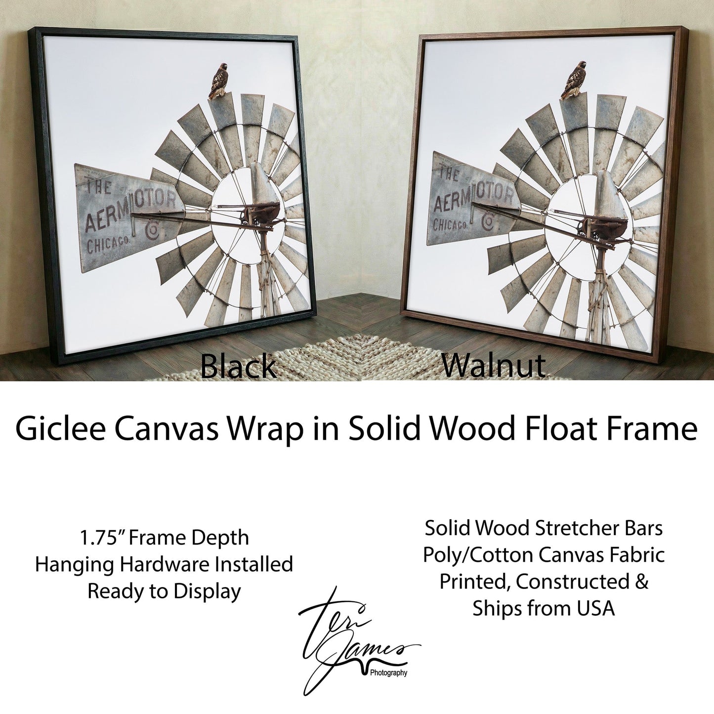 Windmill Wall Decor | Modern Farmhouse Art with Red-Tailed Hawk Print Canvas Canvas-Black Frame / 16 x 16 Inches Wall Art Teri James Photography