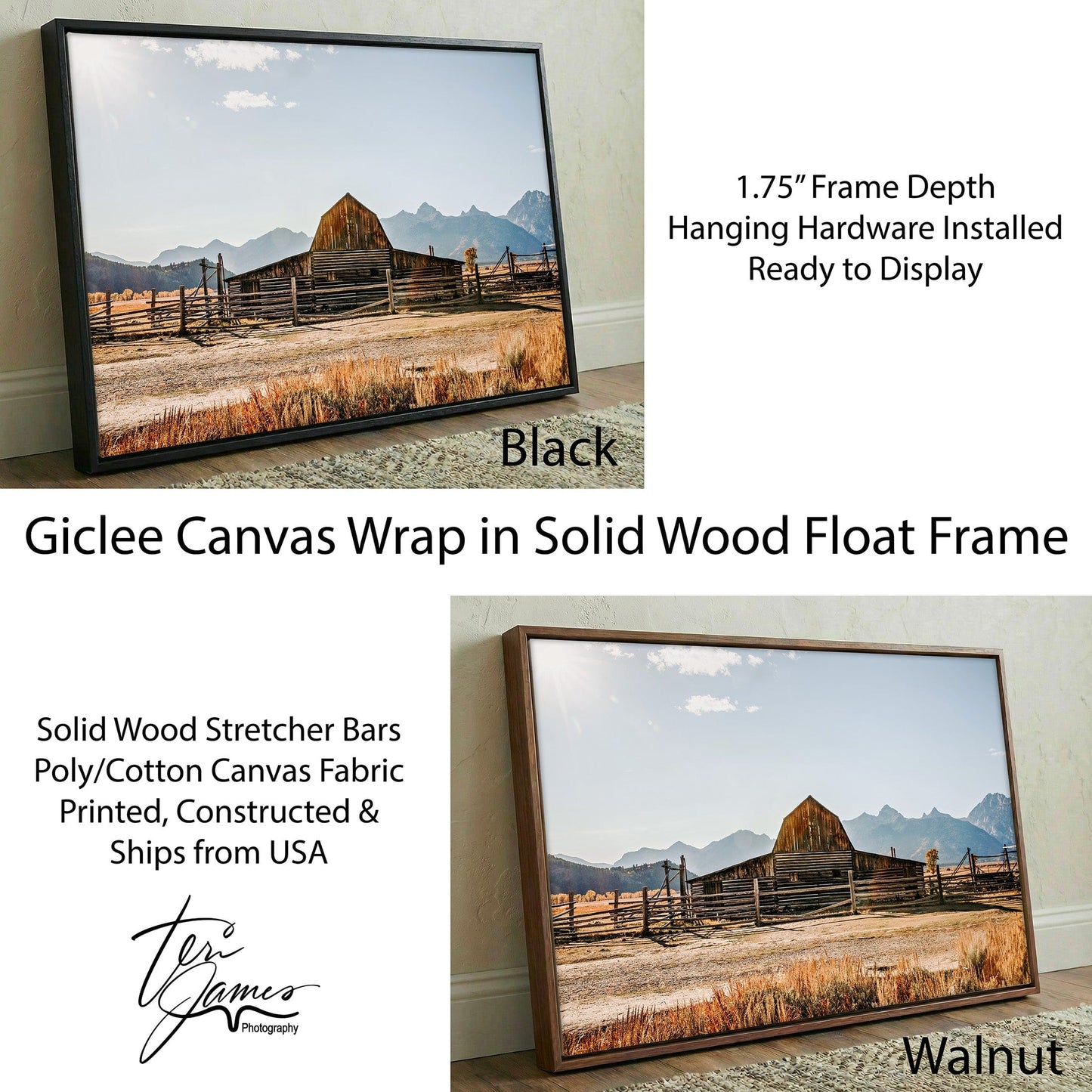 Wyoming Wall Art - Moulton Barn in Grand Tetons Canvas-Black Frame / 12 x 18 Inches Wall Art Teri James Photography