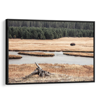 Yellowstone Bison Canvas Art for Over Couch Canvas-Black Frame / 12 x 18 Inches Wall Art Teri James Photography