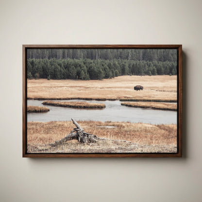 Yellowstone Bison Canvas - Wildlife Cabin Decor Print