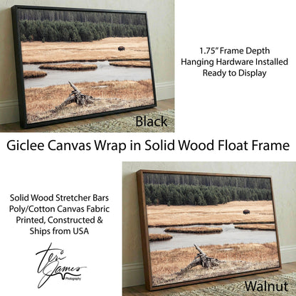 Yellowstone Bison Canvas - Wildlife Wall Art Rustic Cabin Decor Print Canvas-Black Frame / 12 x 18 Inches Wall Art Teri James Photography