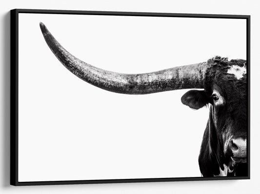 Austin TX Longhorn Art in Black and White Canvas-Black Frame / 12 x 18 Inches Wall Art Teri James Photography
