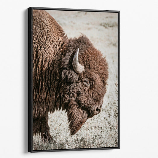 Teri James Photography Wall Art Canvas-Black Frame / 12 x 18 Inches Bison Canvas - Vertical Bison Closeup Photo